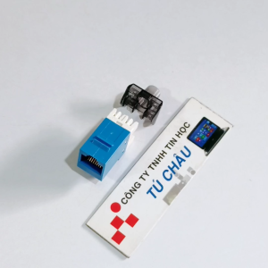 Đầu âm tường RJ45 Cat 6 8 Line / Ruột đầu mạng RJ45 Cat 6 AMP