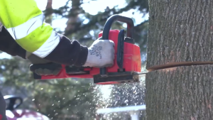 MILWAUKEE M18 FUEL 16" CHAINSAW M18 FCHS-0 Cordless w/12.0ah FORGE Battery Gergaji Bateri 16 inci