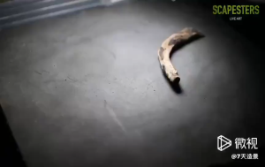 กาวติดไม้น้ำ สำหรับติดไม้น้ำกับขอนไม้ หรือติดกับหิน