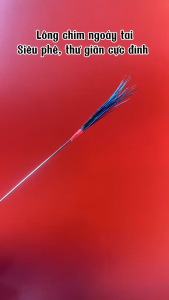 Set 4 cây Lông chim xanh ngoáy tai siêu thư gản lông mềm mại cho cảm giác nhẹ nhàng thoải mái