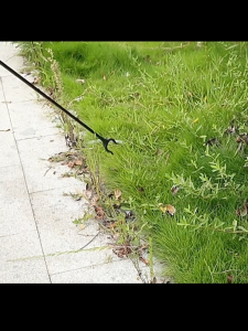 ที่คีบขยะยาว เก็บใบไม้ ไม้หนีบของอเนกประสงค์ หยิบของสูง คีบเก็บของ หยิบของ ม้หนีบขยะ สแตนเลส 80CM