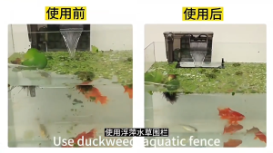 Fish Tank Aquarium Floating Plant Barrier Filter Protection Feeding Ring Auto Adjustment