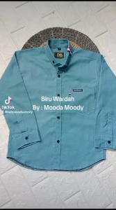 Mooda Moody - Kemeja Anak Laki Laki Lengan Panjang Warna Biru Wardah Kemeja Anak Laki Laki Hijau Wardah Kemeja Anak Laki Laki Biru Wardah Kemeja Anak Laki Laki Import Terbaru Kemeja Anak Hijau Wardah