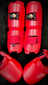 GIÁP CHÂN KARATE!! Giáp Chân-Bảo hộ chân Karate chuẩn Quốc Gia thương hiệu Fujido