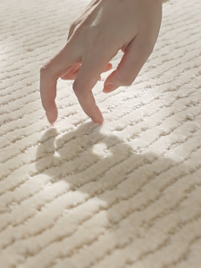 MEET COZY พรมปูพื้นห้อง กันน้ำ carpet living room สไตล์หรูหราเบา ๆ พรมปูห้องนอน พรมปูพื้น #1 DL-CR