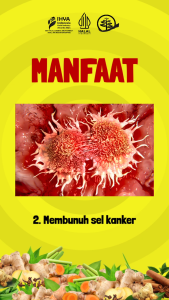 Obat Kanker Payudara Tumor Serviks Miom Kista Endometriosis Bartholin Carcinofit