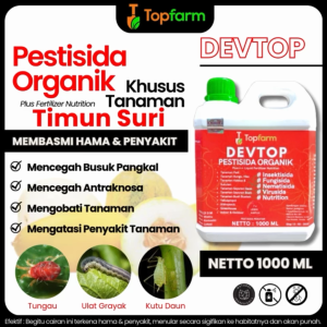 Obat Timun Suri: Solusi Penyakit & Hama