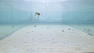 Umpan Casting Minnow CB059: Aksesoris Penjualan E-Commerce