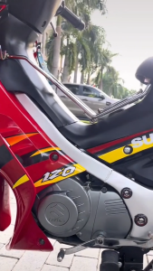 Baga Giữa Satria 2006 Su Xipo Màu Inox Xì po Ba ga Lườn Sì Sipo