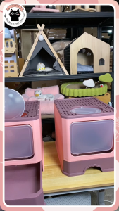 #ห้องน้ำแมว 2 สี กระบะแมว กระบะทราย ห้องน้ำดับกลิ่น ห้องน้ำ 2 สี