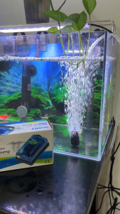 Máy sủi oxy bể cá 1 vòi Sobo SB-248a tặng kèm 1 bộ dây sủi oxy và quả sủi oxy