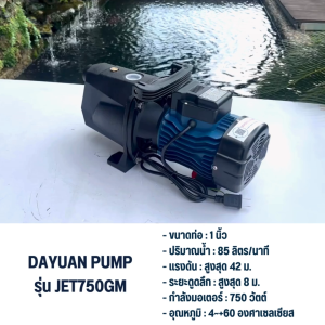 DAYUAN PUMP ปั๊มเจ็ท  รุ่น JET750GM ท่อ1นิ้ว กำลัง750w ส่งสูง42เมตร ใบพัด PPO ปั๊มเจ็ทเน้นส่งสูง ส่งไกล
