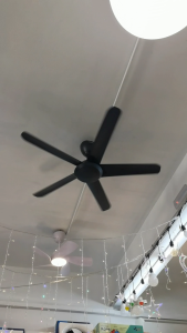 Alpha Alkova Racer 48" DC Motor Remote Control Ceiling Fan