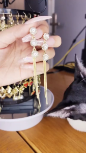 Bông tai nữ đính chuỗi ngọc trai nhân tạo mắc xích dáng dài phong cách cá tính phong cách quý phái kiểu dáng đơn giản dễ kết hợp phong cách Hàn Quốc BSTKD - [NaLa Shop]