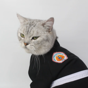 Baju Kucing Anjing Laki-laki Dan Cewek Lucu Murah 5 Ribu Perlengkapan Kucing - BUKIPET PANGSI SILAT