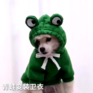 【Storewide Sale】 Whisker Funny Party pet clothes for dog Elk outfit for cat Love Banana Jersey for dogs Frog outfit dog hoodie panda for maltese puppy clothes for Chihuahua tshirt for dog shih tzu female Accessories for pomeranian Funny Dog costume damit