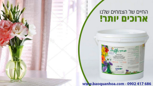 1KG Bột Cắm Hoa Xốp Cắm Hoa Lẵng lâu tàn (pha 100L nước cắm hoa) hiệu Longlife SG nhập khẩu Israel an toàn và chuyên nghiệp
