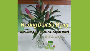 Bột dưỡng hoa Tuyết Mai Lâu tàn nhập khẩu Israel (combo 10 gói) giúp hoa tuyết mai nở đều 99% và 14 ngày không thay nước mới