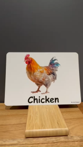 SUPER Attractive Big ANIMALS Flash cards into the world of Animals. Great for gifts too!