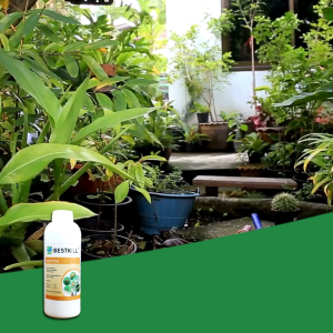 B2T1 BESTKILL 1L 2PCS + RED MAGIC 1L 1PC FOR YOUR PLANT