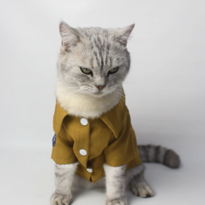 Baju Kucing Anjing Laki-laki Dan Cewek Lucu Murah 5 Ribu Perlengkapan Kucing - Bukipet Seragam PNS