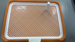 【COD】Extra Large Dog Toilet Flat Dog Toilet With Column Grid Format Enclosure Dog Toilet Training Potty