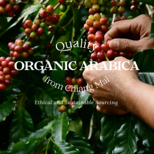 กาแฟออร์แกนิค ม่อนดอยหลวง โกลด์ (500 กรัม)