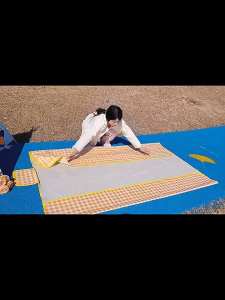 Picnic Mat Portable Waterproof Camping Outdoor Mat Tikar Berkelah PhotoBackground Diaper Changing Mat 野餐布