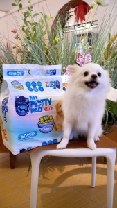 My Potty Pad Lite Charcoal (Training Pee Pad)