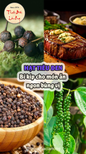 Hạt tiêu đen 100g ( Hạt tiêu khô thơm cay làm gia vị) - Lãn Ông