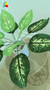 TANAMAN KELADI SRI REJEKI B8261 HIAS ARTIFICIAL BUNGA PLASTIK