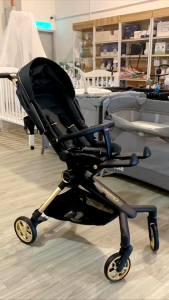 Quinton Citi Premium Stroller (Newborn - 22kg) | GoodealBB