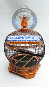 Sangkar Burung Perkutut Derkuku & Puter: Pilihan Terbaik