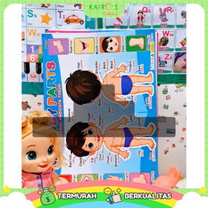 Paket Poster 20 Lembar Edukasi Anak Belajar Huruf Angka Buah Sayur Binatang Transportasi dll