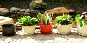 Thickened resin plastic pot balcony creative succulent pothos potted large flower pot