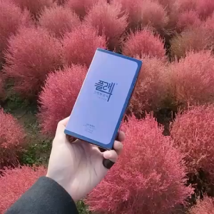 30Days Treatment Korea FS Premium x Detox | FS | Korea Weight Control | Slimming | Fat Burn | 100% Korea | Weight Loss