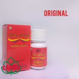 Delipus 20 Kapsul & Chang Yien Asli: Solusi Herbal Demam Tipes