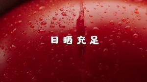 海底捞火锅底料/麻辣/清汤/三鲜/番茄/微辣 HaiDiLao Hotpot Soup Base