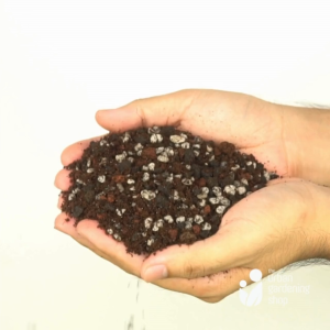 2L C&S Soilless Potting Mix for Cactus and Succulents | Fast-Draining Succulent Soi-lless Mix with Lava Rocks Pumice Vermicast Coco Peat Carbonized Rice Hull and Neem Powder