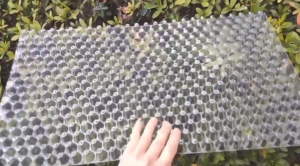 ถาดเพาะกล้านาโยน (Seedling tray) 434 มีให้เลือกซื้อ 10-700 ชิ้น ถาดนาโยน ถาดเพาะปลูก ถาดเพาะกล้า ถาดเพาะนาโยน เพาะถาดเพาะนาโยน เพาะกล้าข้าว