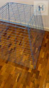 Scratch Pen Blue Coated 17 lines/ chicken cage/ cock cage/ game fowl
