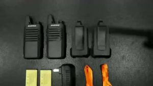 Baofeng BF-T20 Walkie Talkie Mini Pocket Radio 5KM Long Range Two Way Radio 400-470MHz Portable UHF Radio Type-C Charging Handset Radio BFT20