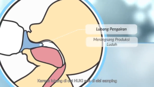 Botol Susu Bayi Praktis HUKI: Pilihan Volume & Nipple Dot