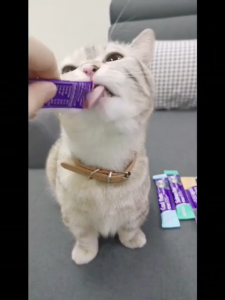 PETSEE ISHTAR Cat Stick Bundle 50pcs 100pcs Chicken Egg Yolk Salmon Tuna Beef Snack Treats Wet Food Training Bonding Boost Appetite