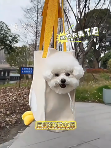 Moco Cat Bag Cute Outing Breathable Pet ProbeDog Messenger Single Shoulder Handbag