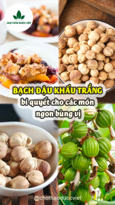 Bạch đậu khấu khô 100g đậu khấu trắng cay thơm gia vị nấu ăn nấu phở lẩu cay Tứ Xuyên