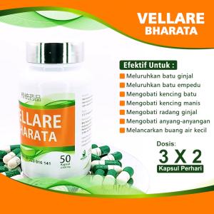 Obat Herbal Batu Ginjal Batu Empedu Kencing Sakit VELLARE BHARATA