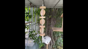 ของเล่นนก สำหรับสัตว์เล็ก อุปกรณ์ตกแต่งกรงสัตว์เลี้ยง ของเล่นนกไม้กลมร้อยเชือก7ชั้น ใช้เกาะ ใช้ปีนป่าย