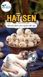 Hạt sen bở 100g hạt sen khô nấu chè cháo hầm canh bổ dưỡng tốt cho cả người lớn và trẻ nhỏ