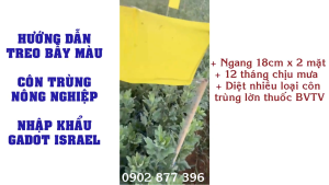 Bẫy Ruồi Nông Nghiệp trên Rau Hoa Củ Quả Nhập Khẩu Israel(Ngang 18cm x 100 mét dài) Sử dụng 2 mặt thời gian hiệu lực trên 8 tháng chịu mưa nắng